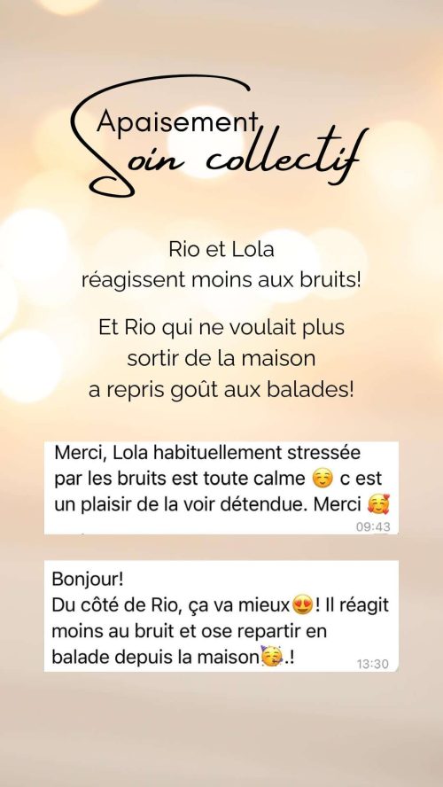 témoignage d'animaux moins sensible aux bruits grâce au soin collectif Apaisement