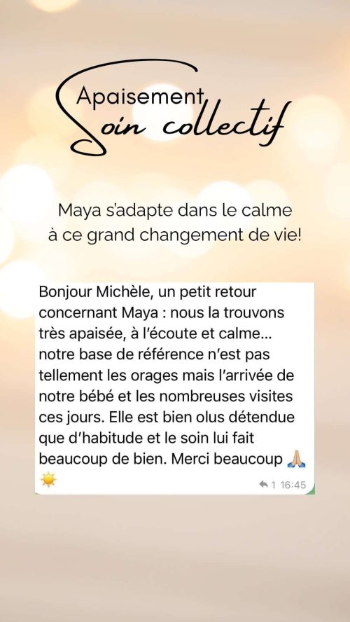 Témoignage des effets du soin collectif Apaisement sur un chien par rapport à des changements de vie, arrivée d'un bébé