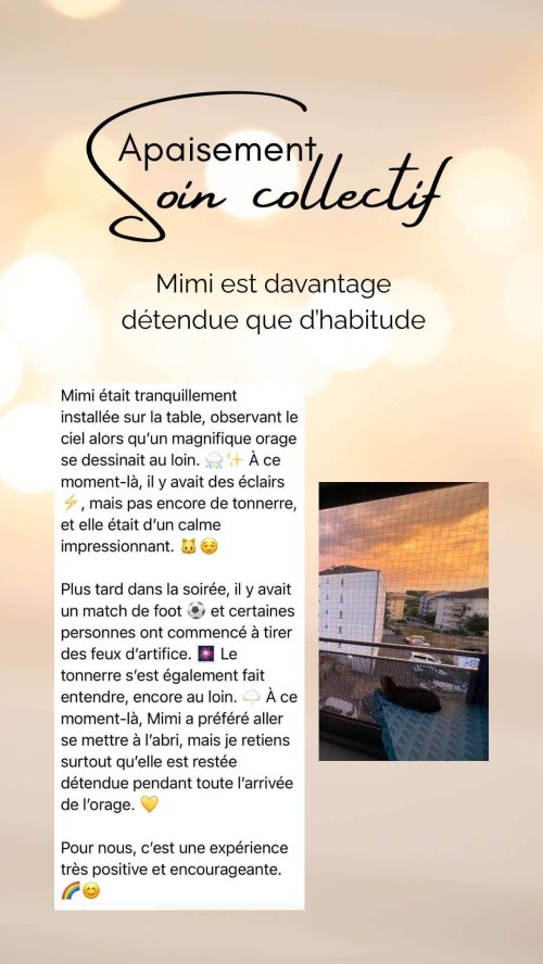 Témoignage des effets du soin collectif Apaisement sur un chat