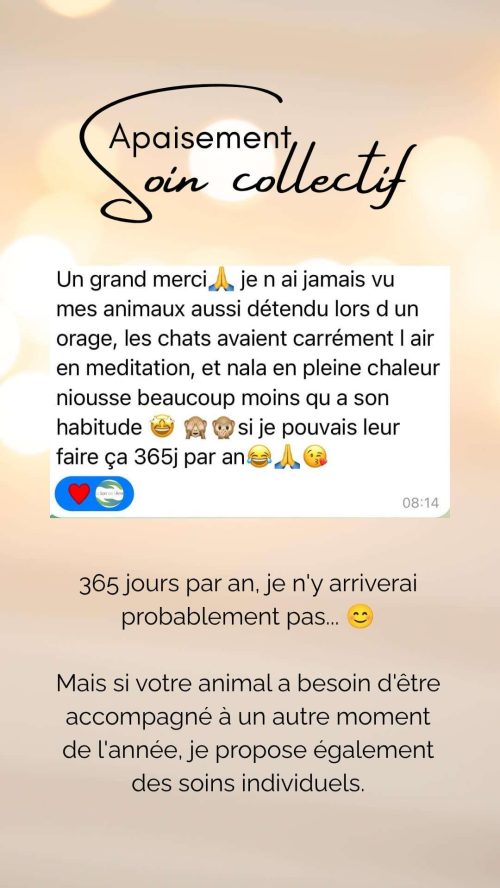 témoignage des effets du soin collectif Apaisement sur les chiens et les chats