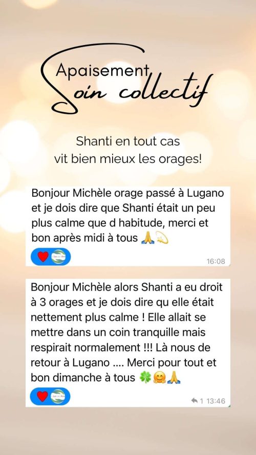 Témoignages d'un chien plus calme pendant les orages